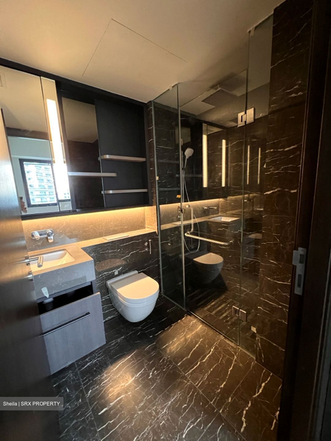 Neu At Novena (D11), Apartment #446252491